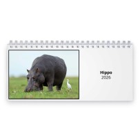 Nilpferd 2026 Tischkalender