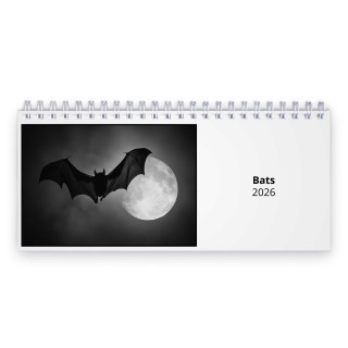 Bats 2026 Desk Calendar