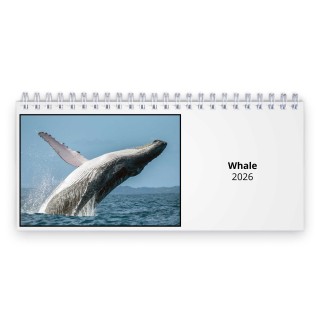 Whale 2026 Desk Calendar