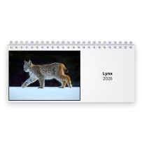 Lynx 2026 Desk Calendar