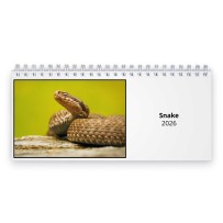 Snake 2026 Desk Calendar