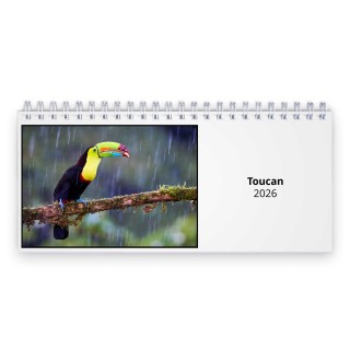 Toucan 2026 Desk Calendar