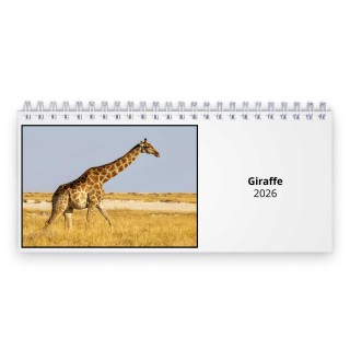 Giraffe 2026 Desk Calendar