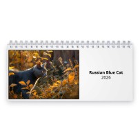 Russian Blue Cat 2026 Desk Calendar