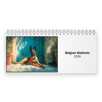Belgian Malinois 2026 Desk Calendar