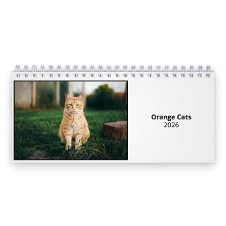 Orange Cats 2026 Desk Calendar