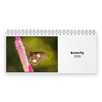 Butterfly 2026 Desk Calendar