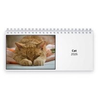 Cat 2026 Desk Calendar