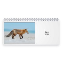 Fox 2026 Desk Calendar