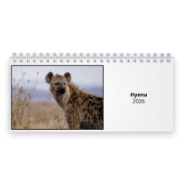 Hyena 2026 Desk Calendar
