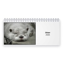 Otter 2026 Desk Calendar