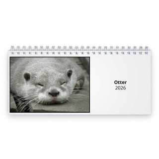 Otter 2026 Desk Calendar