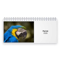 Papagei 2026 Tischkalender