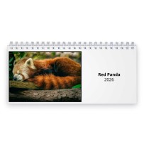 Rød Panda 2026 Skrivebordskalender