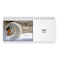 Swan 2026 Desk Calendar