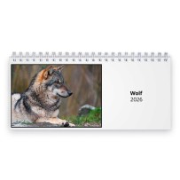 Wolf 2026 Tischkalender