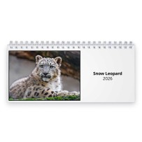 Snow Leopard 2026 Desk Calendar