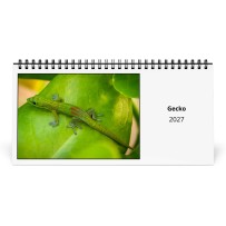 Gecko 2027 Calendrier de Bureau