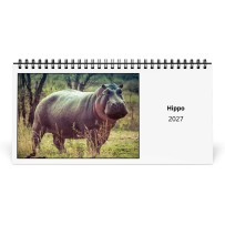 Hippopotame 2027 Calendrier de Bureau