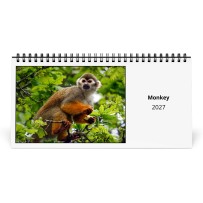 Singe 2027 Calendrier de Bureau