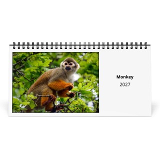 Monkey 2027 Desk Calendar