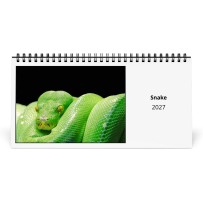 Mesmeric Serpents (Deel I)