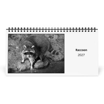 Procione 2027 Calendario da Tavolo
