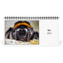 Abeille 2027 Calendrier de Bureau