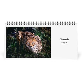 Cheetah 2027 Desk Calendar