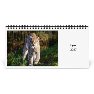 Lynx 2027 Desk Calendar