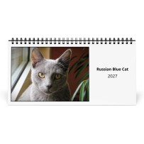 Gatto Blu Di Russia 2027 Calendario da Tavolo