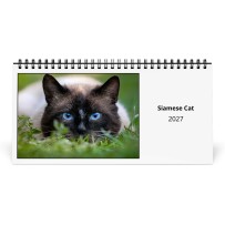 Siamese Cat 2027 Desk Calendar