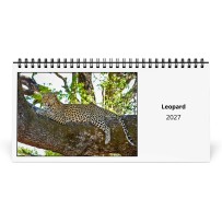 Leopardo 2027 Calendario da Tavolo