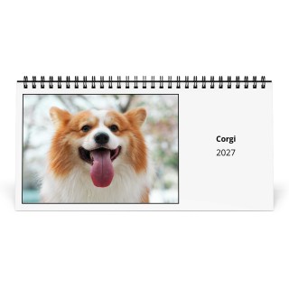 Corgi 2027 Desk Calendar