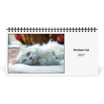 Persian Cat 2027 Desk Calendar