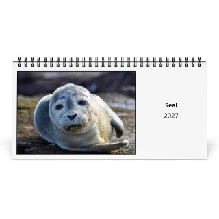 Seal 2027 Desk Calendar