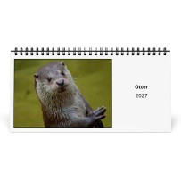 Otter 2027 Skrivebordskalender