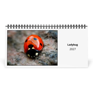 Ladybug 2027 Desk Calendar