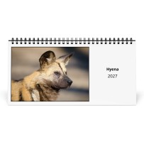 Hyena 2027 Desk Calendar