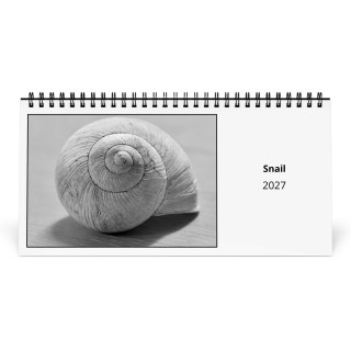 Snail 2027 Desk Calendar