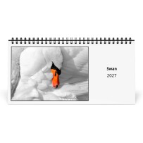 Cigno 2027 Calendario da Tavolo