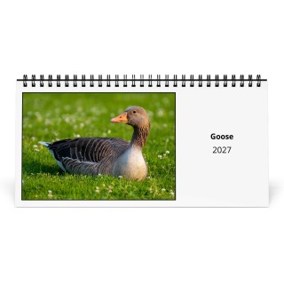 Goose 2027 Desk Calendar