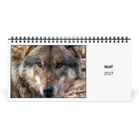 Wolf 2027 Desk Calendar