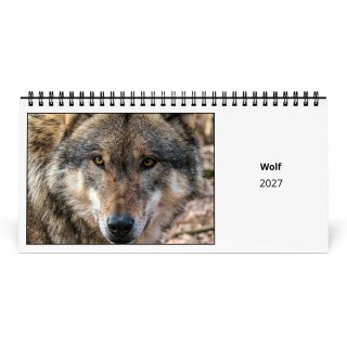 Wolf 2027 Desk Calendar