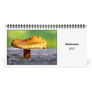 Mushroom 2027 Desk Calendar