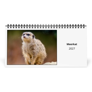 Meerkat 2027 Desk Calendar
