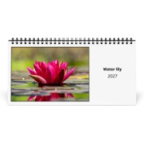 Seerose 2027 Tischkalender