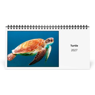 Turtle 2027 Desk Calendar