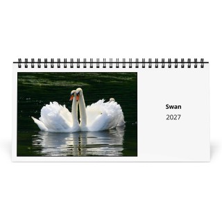 Swan 2027 Desk Calendar