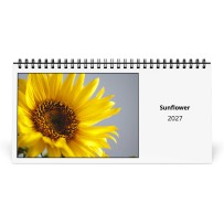Sonnenblume 2027 Tischkalender